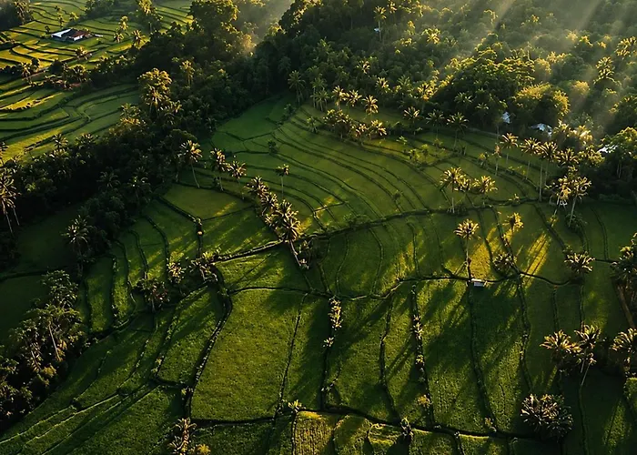 Sore Escape Tumbak Bayuh By Betterplace ホテル